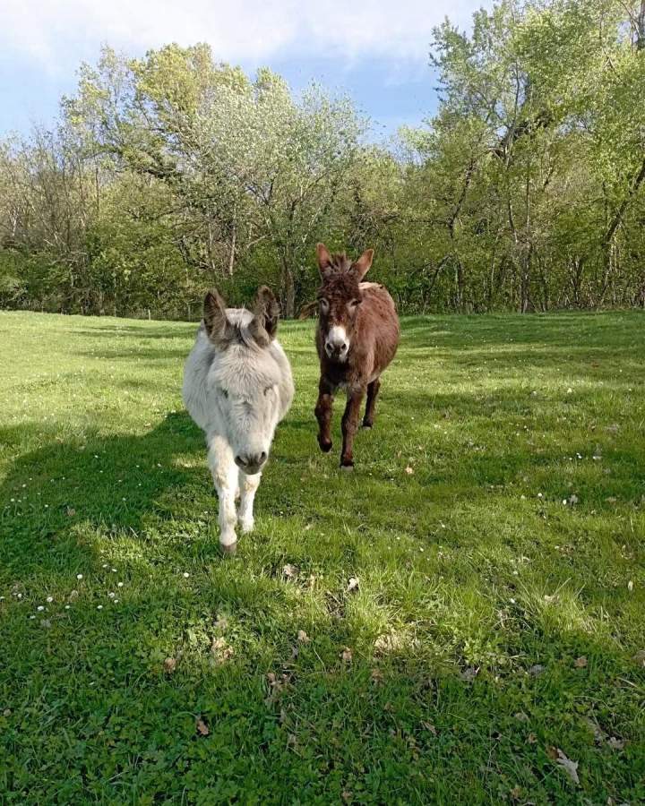 Mac Arthur et Comique vous attendent pendant les vacances !