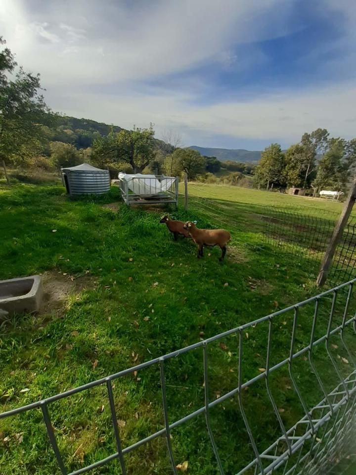 Visite de la ferme Riom
