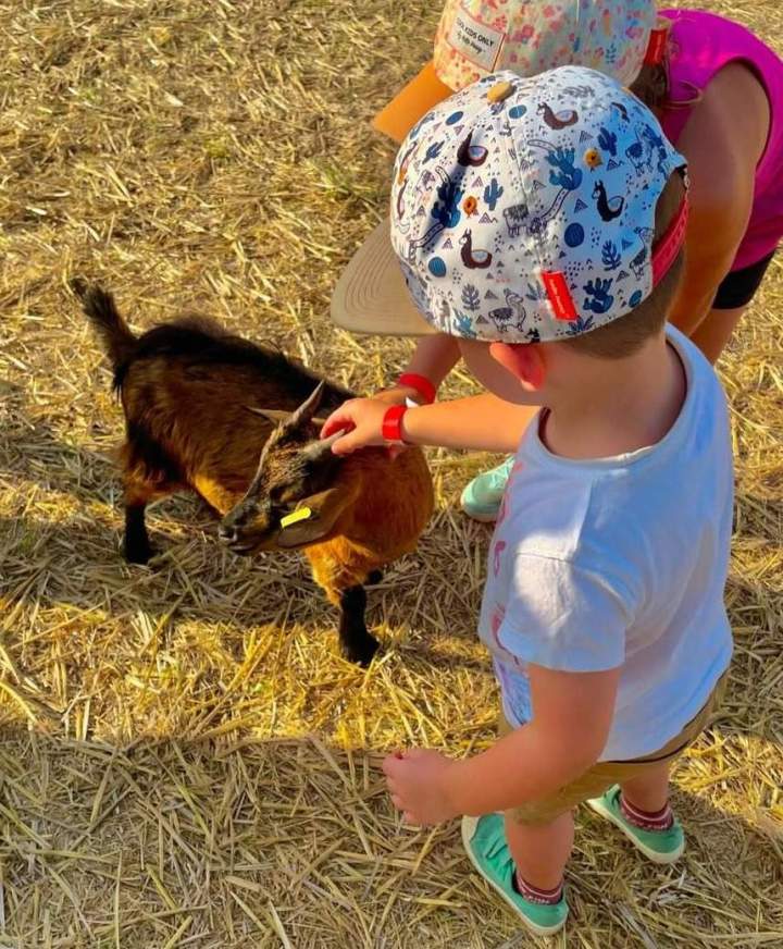 Participez à l’expérience de « soigneur d'un jour » dans notre ferme à Riom et passez une journée inoubliable.